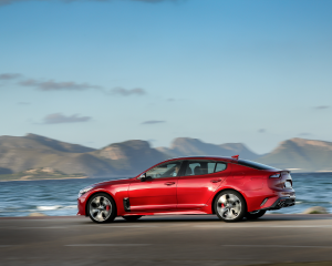 Kia Stinger Red Dynamic  (33)